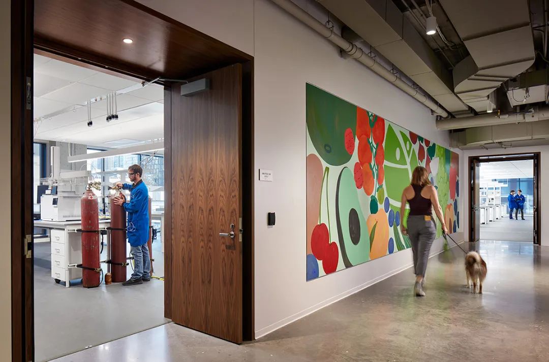 Hazel 科技芝加哥总部丨美国芝加哥丨Perkins&Will-12