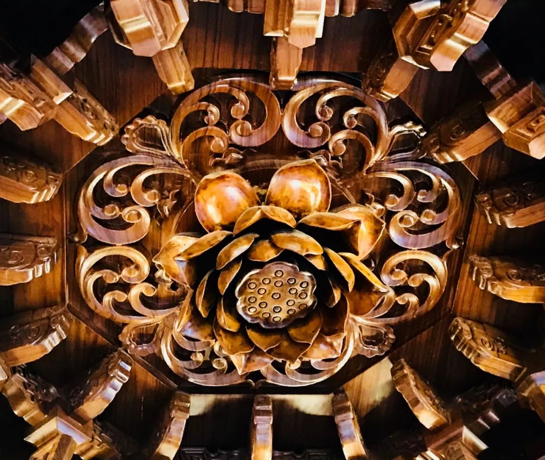 陈少群 | 室内设计中的自然、环保与健康-74