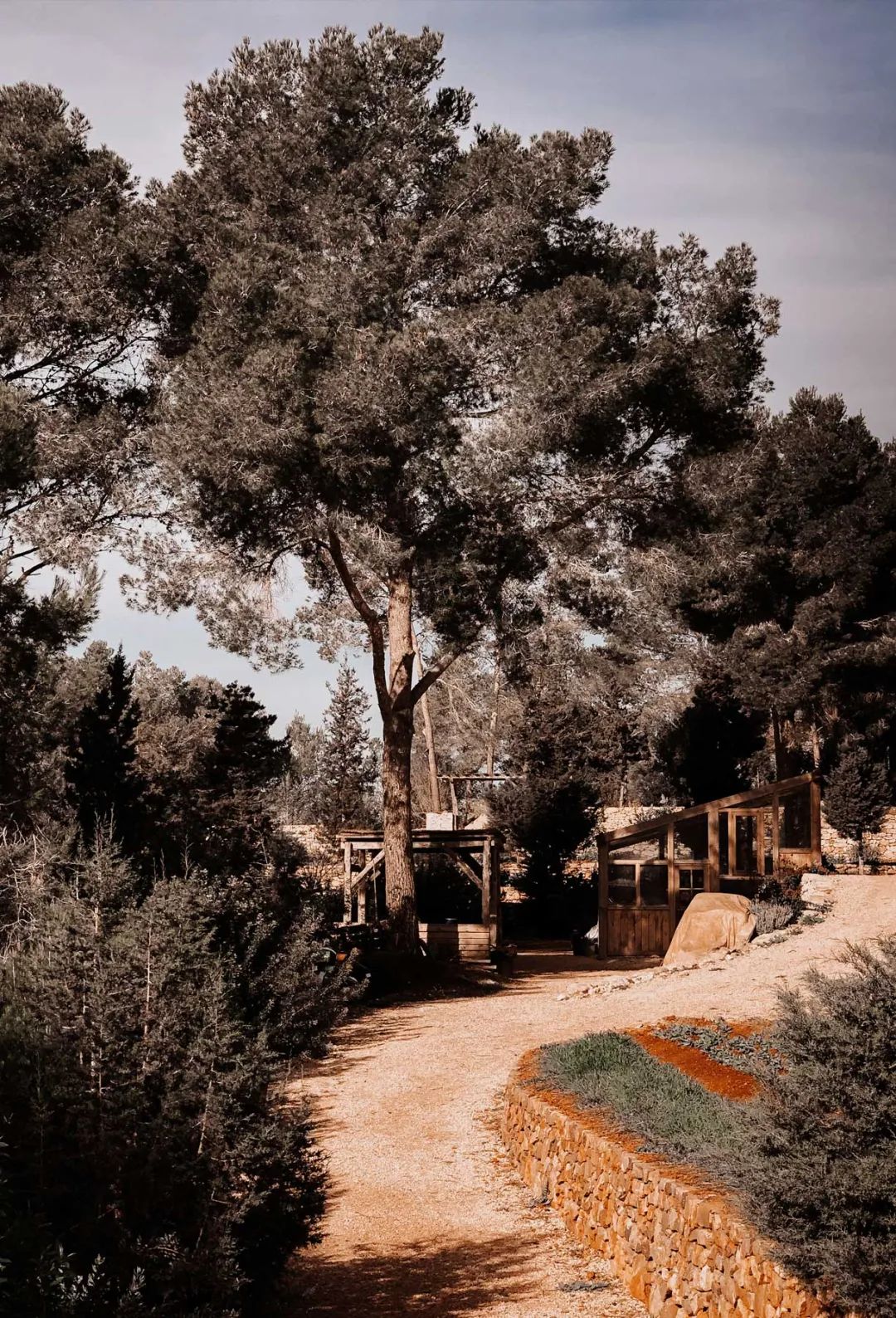 伊比沙岛自然之美 | La Granja Ibiza 农舍设计-31