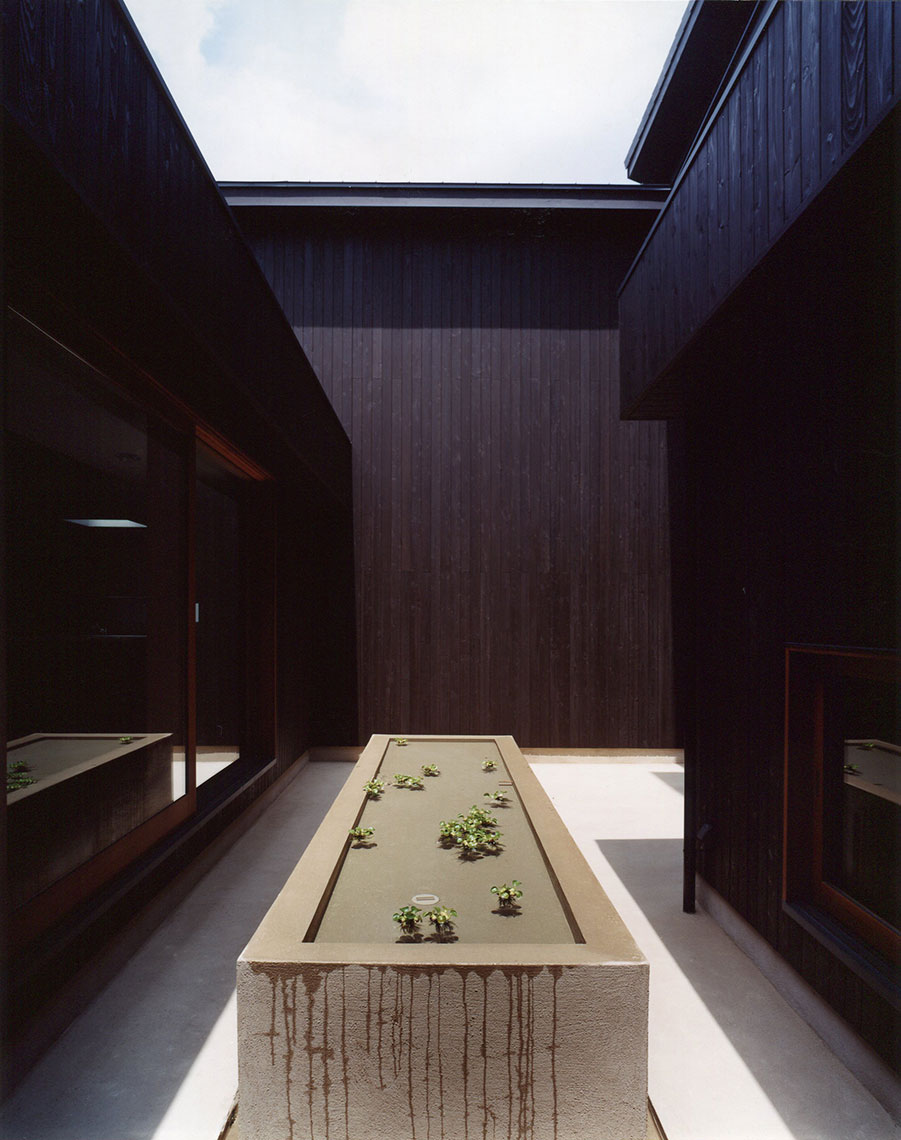 記憶を閉じ込める家   House of Memory Kouichi Kimura Architects-8