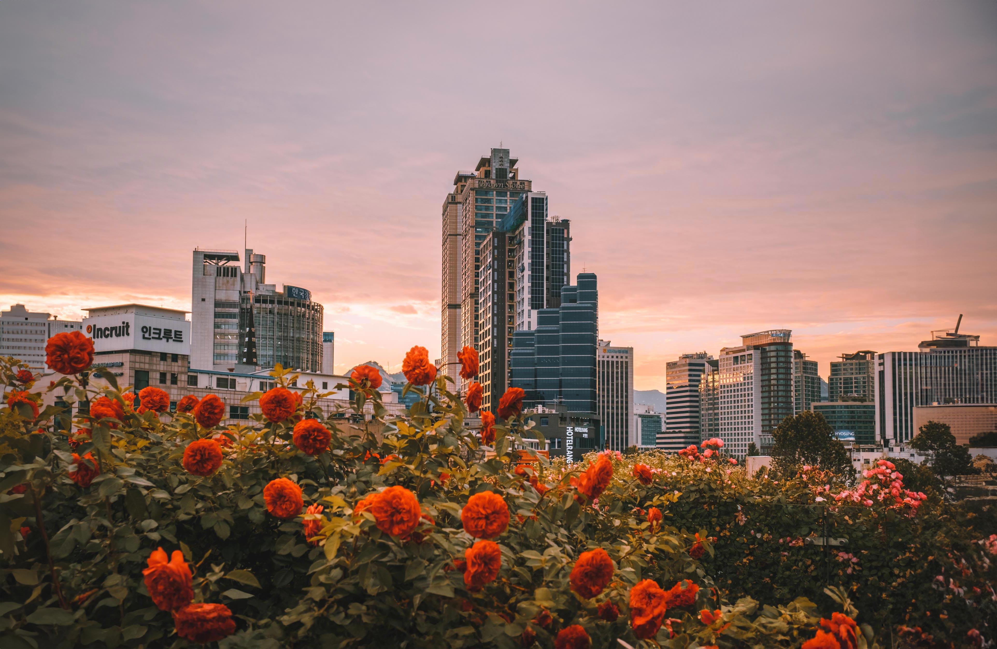 首尔路 7017丨韩国首尔-2