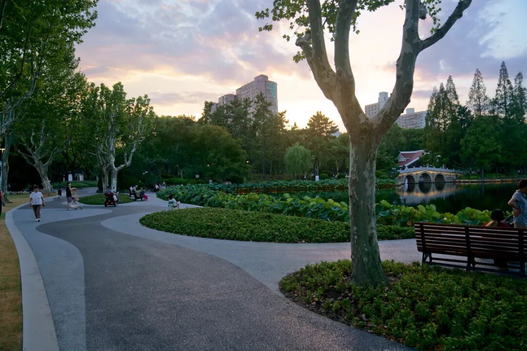 中国园林·理事专栏|“拓”之力量：杨浦公园改造纪实(三)-34