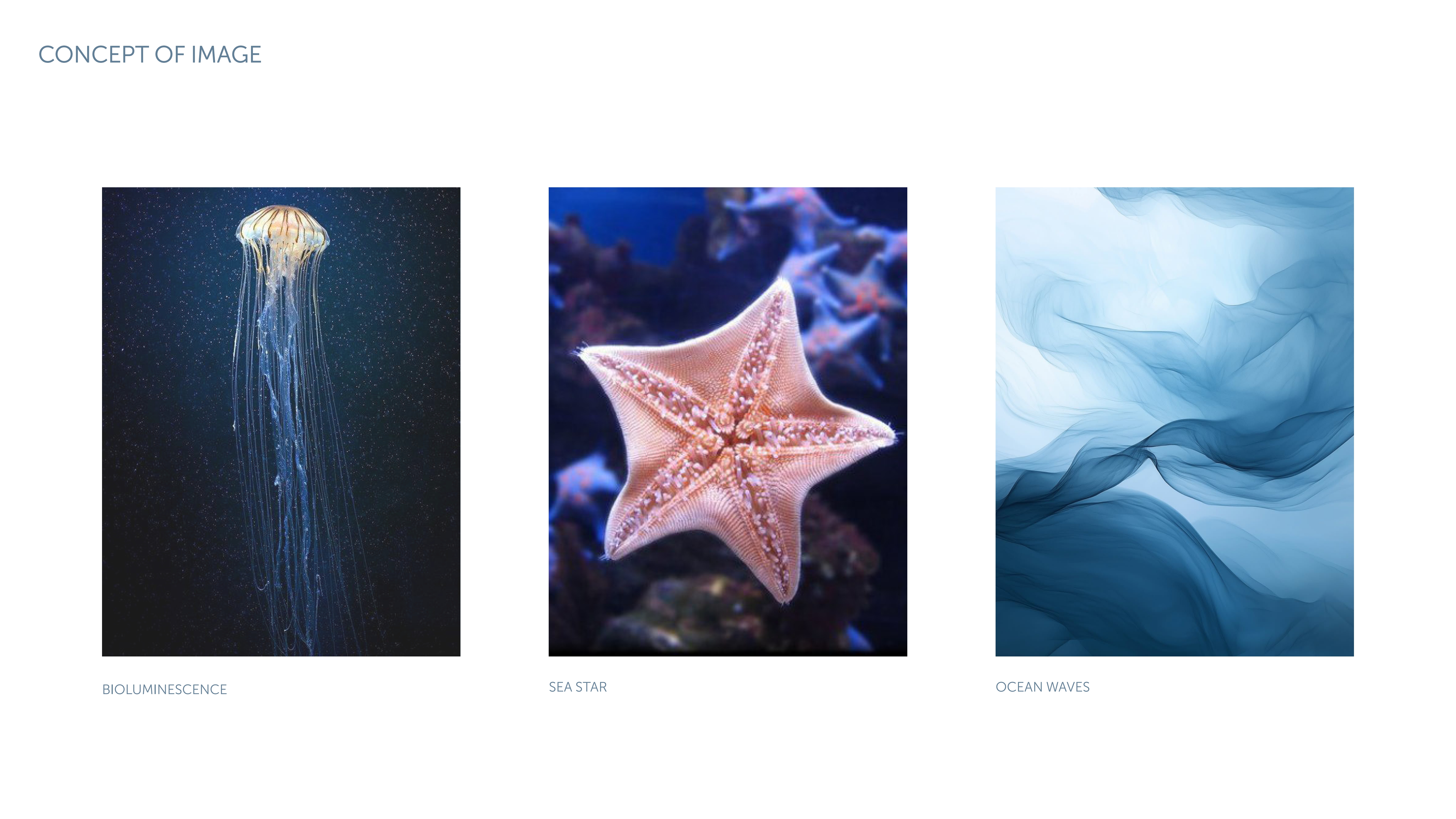 Between Sea and Sky-4