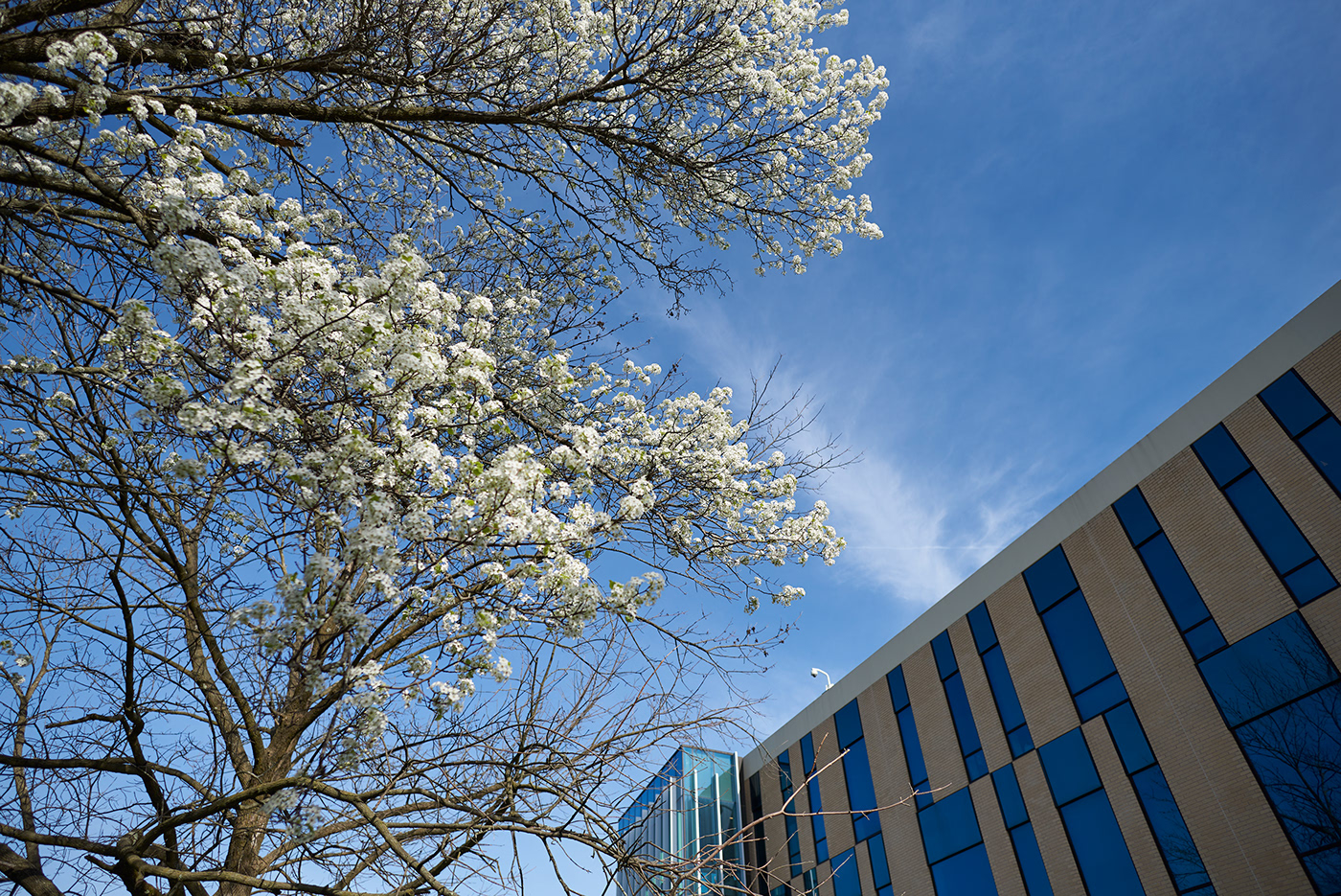 Architecture in Spring-6