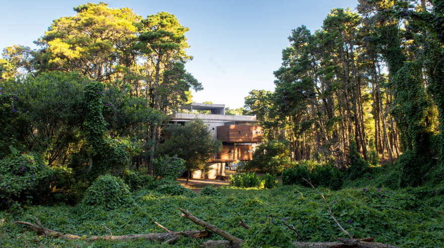 阿根廷Bosques de Mar Azul小木屋-6