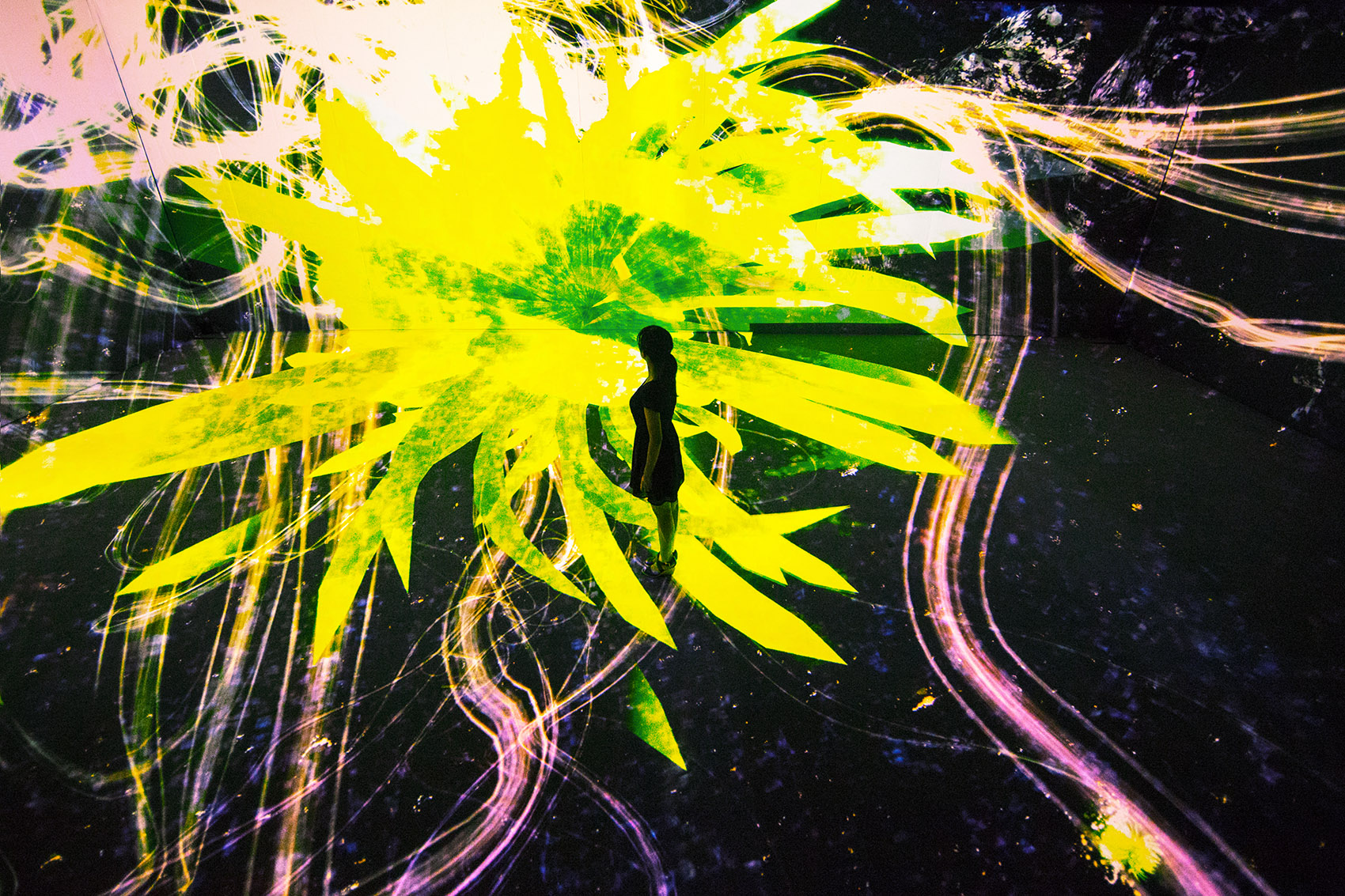 teamLab 2017 深圳北京大展:舞蹈吧,艺术!寓教于乐的未来游乐园!-148