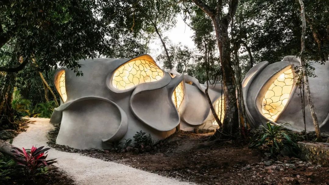 “昆虫翼”办公室 Fab Lab丨墨西哥丨Roth Architecture-9