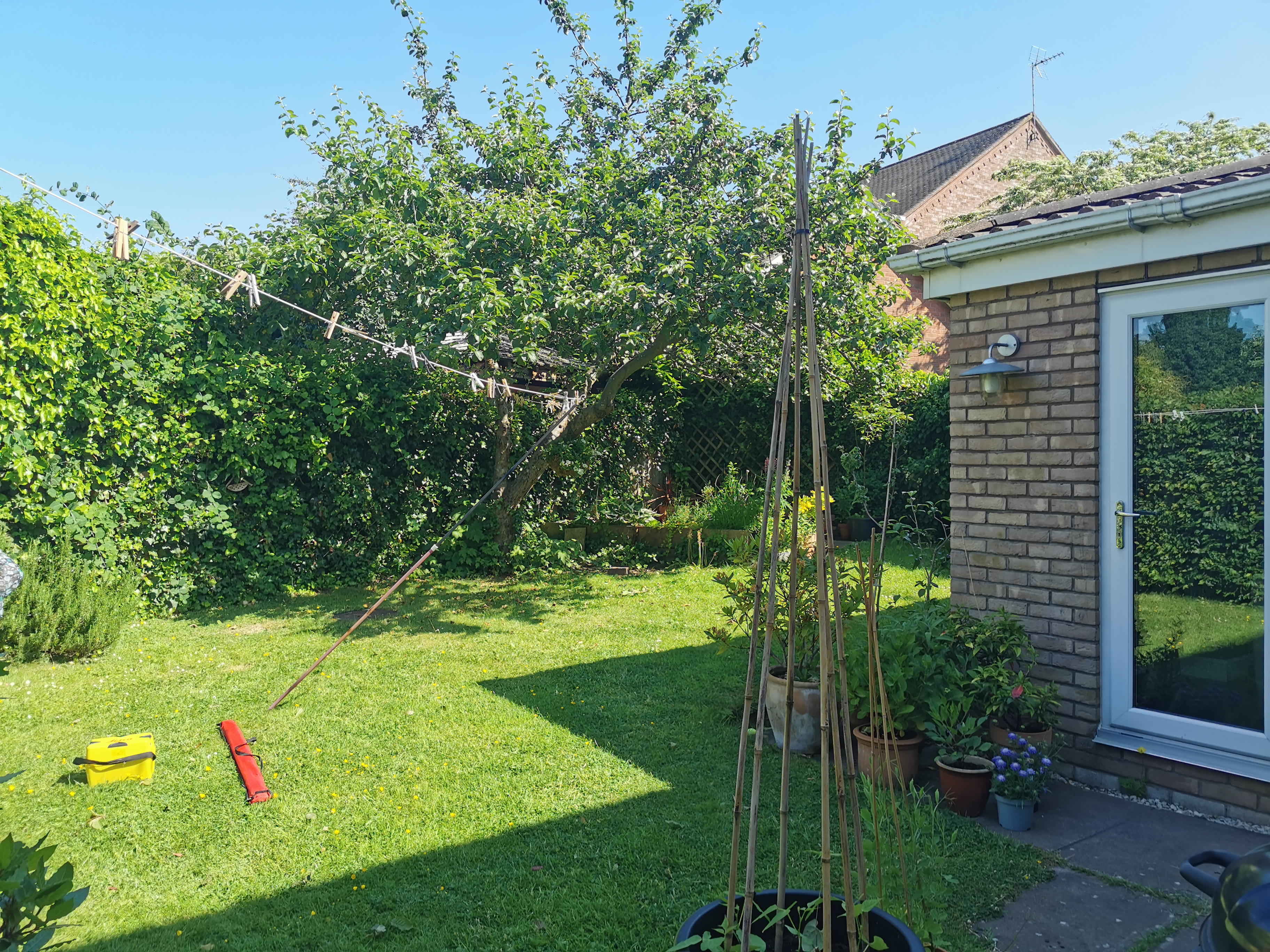 当代花园丨Blue Iris Landscapes-29