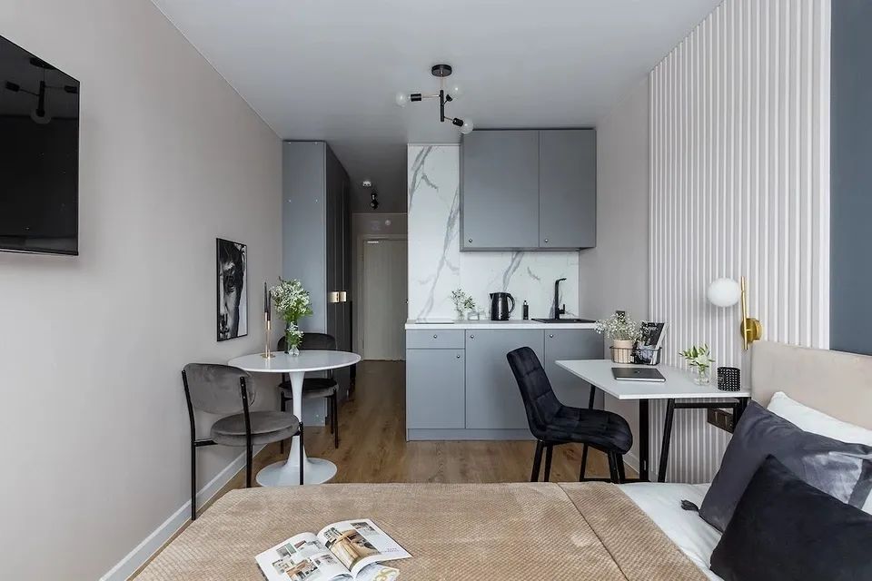 20㎡一字型公寓设计丨Ekaterina Shein-0