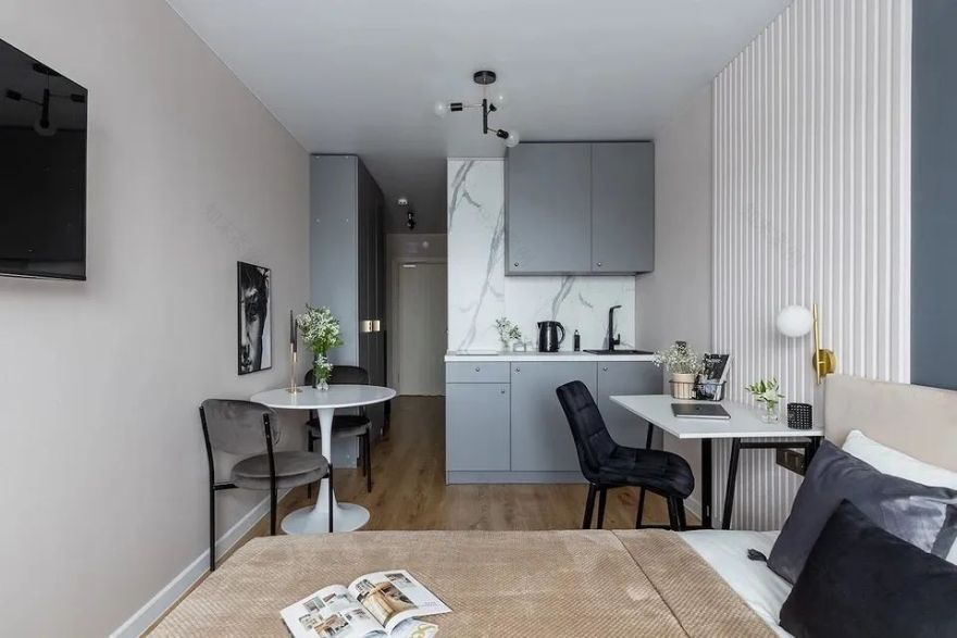 20㎡一字型公寓设计丨Ekaterina Shein-0