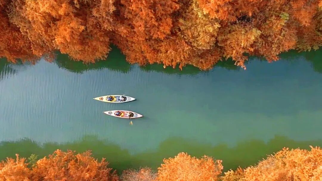 横沔公园丨中国上海丨上海市园林设计研究总院有限公司-11