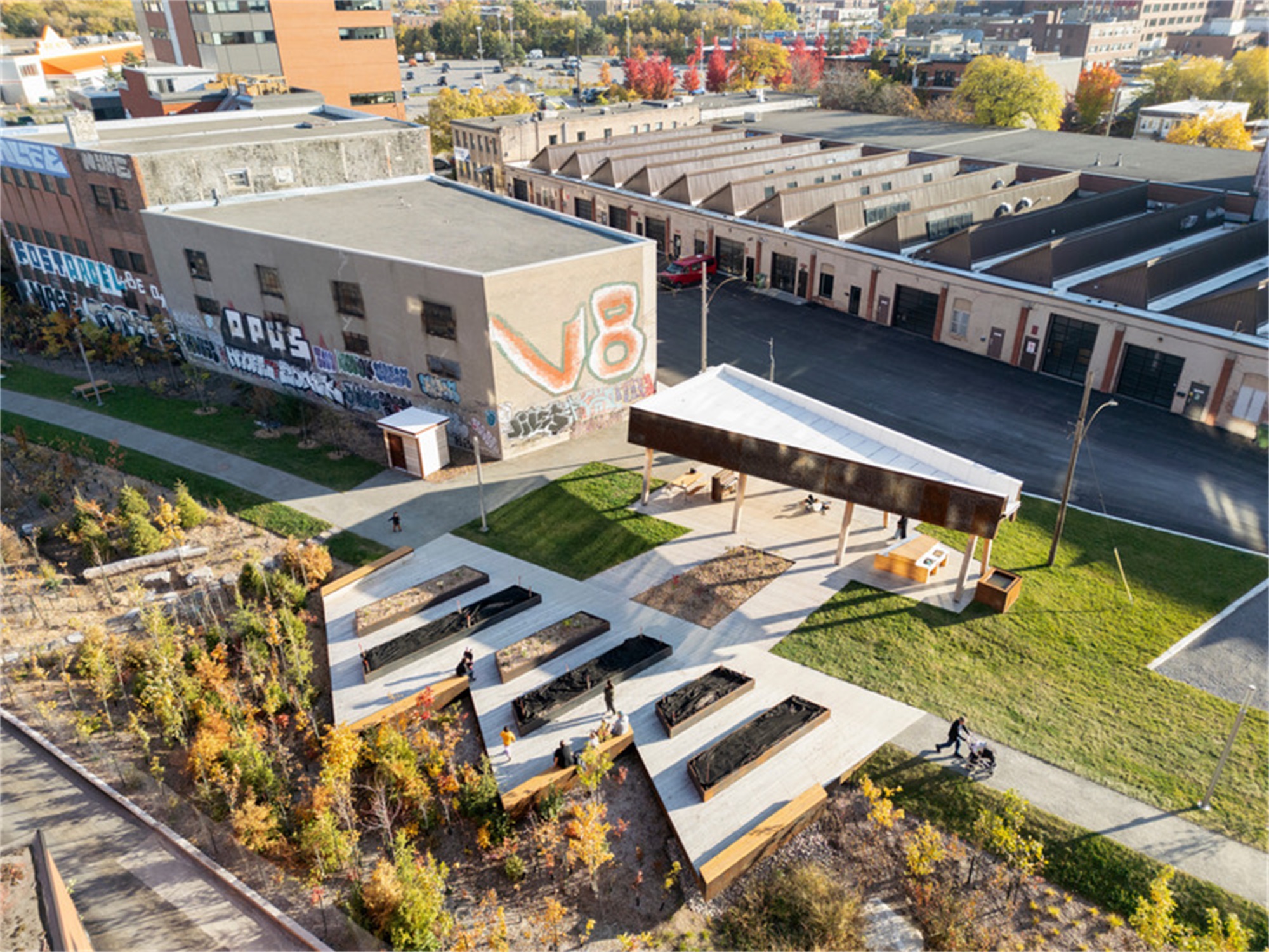 大猩猩公园丨加拿大蒙特利尔丨civiliti-24