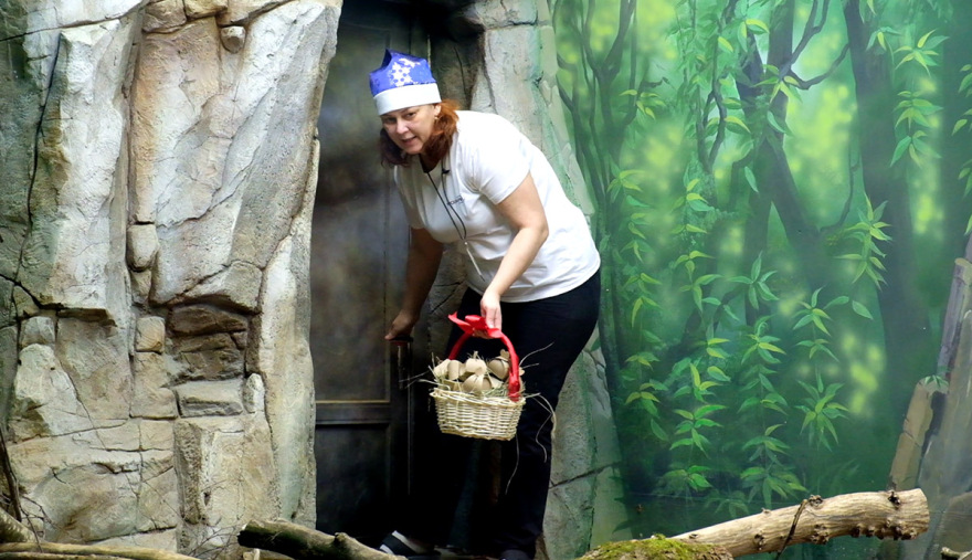 莫斯科水族馆水獭和海豹围栏及展区更新丨俄罗斯莫斯科-33