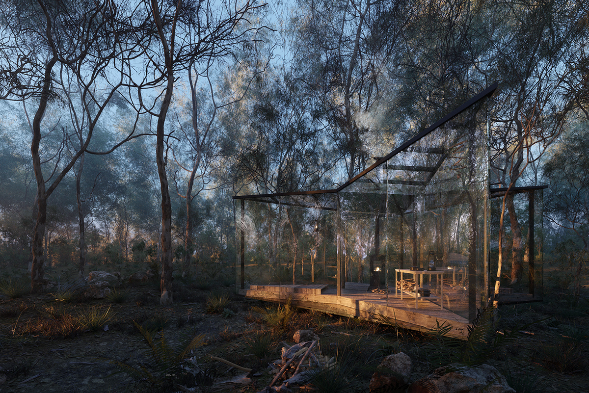澳大利亚森林中的透明玻璃小屋-10