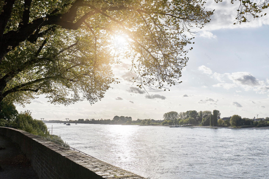 德国古宅新生丨德国杜塞尔多夫丨Nidus Studio-34