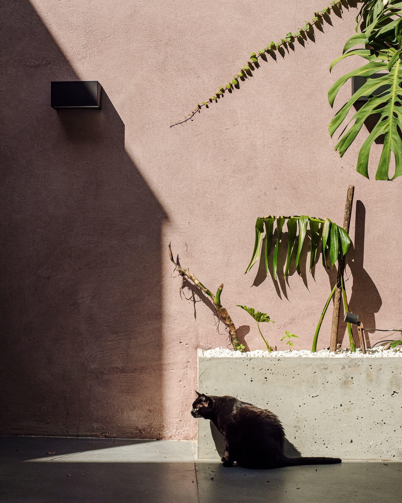 Vila Mariana住宅翻新扩建｜巴西｜entre escalas-36