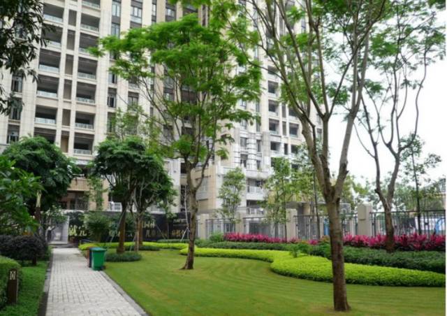 绿化设计中的地被放线手法与植物配置-161