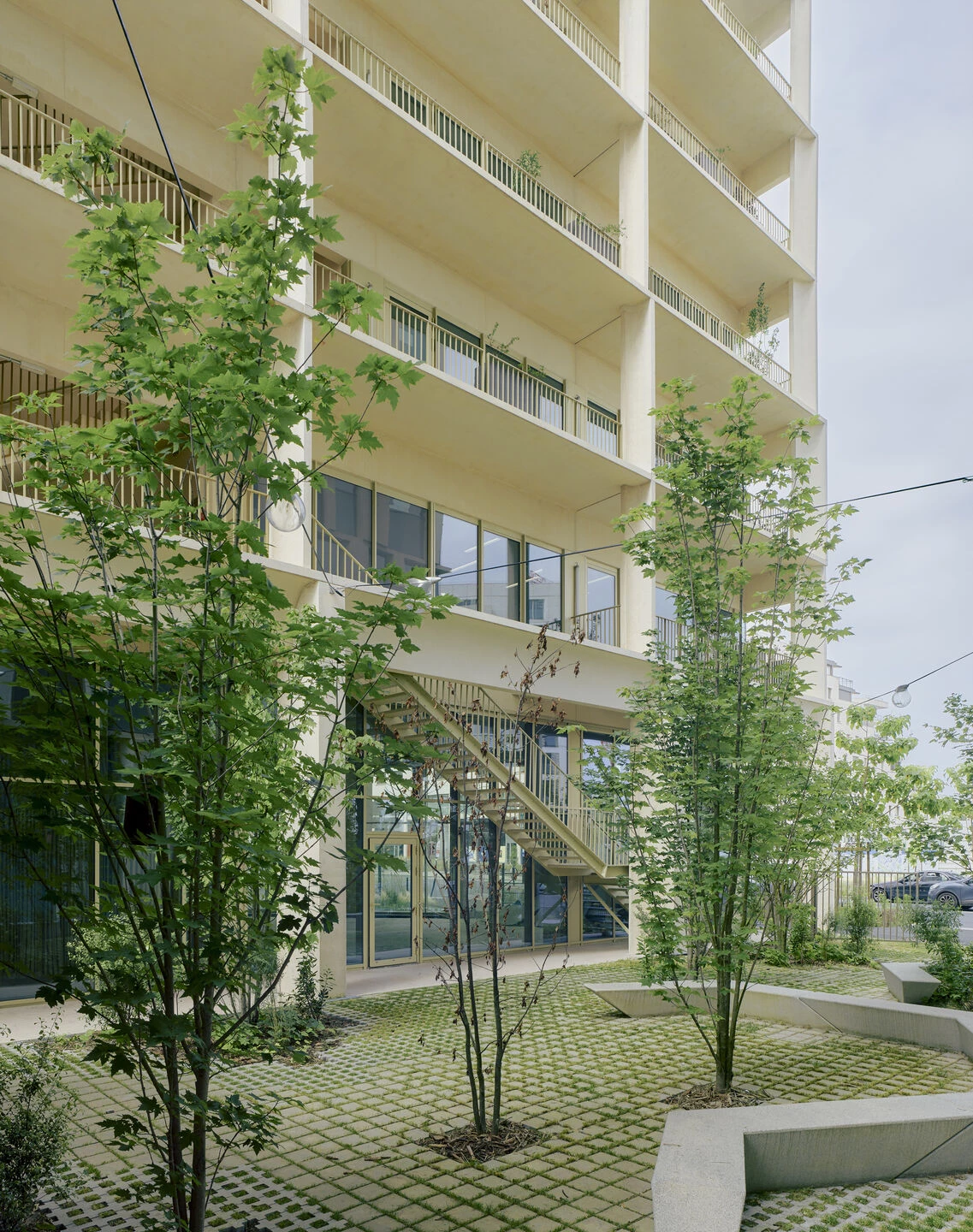 aceted Bordeaux丨法国丨Studioninedots-17