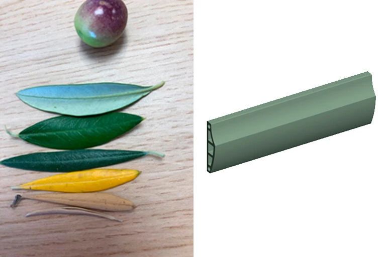 奥利沃体育竞技场丨西班牙哈恩丨Tejas Borja-19