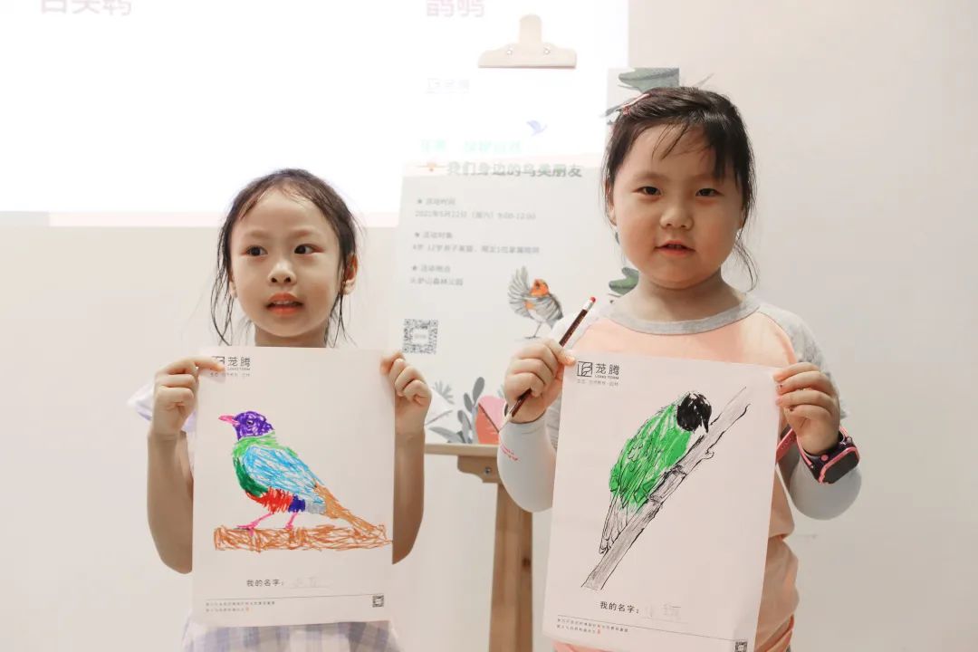 茏腾·探秘自然·鸟类涂鸦之旅-29