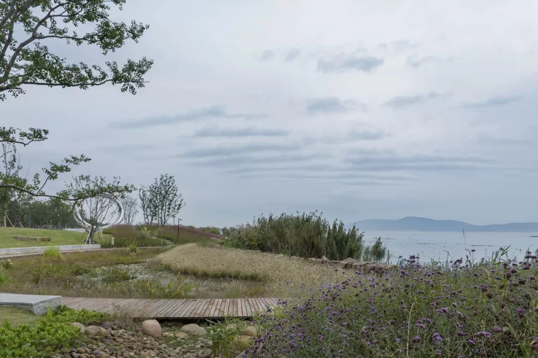 《雁归来》 | 水乡文化的现代解读-116