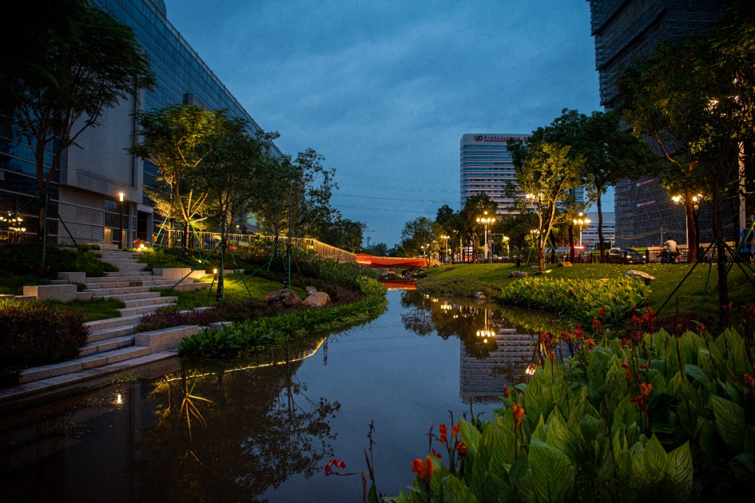 重生之河 | 广州大坦沙岛“蓝色命脉”的生态复兴-58