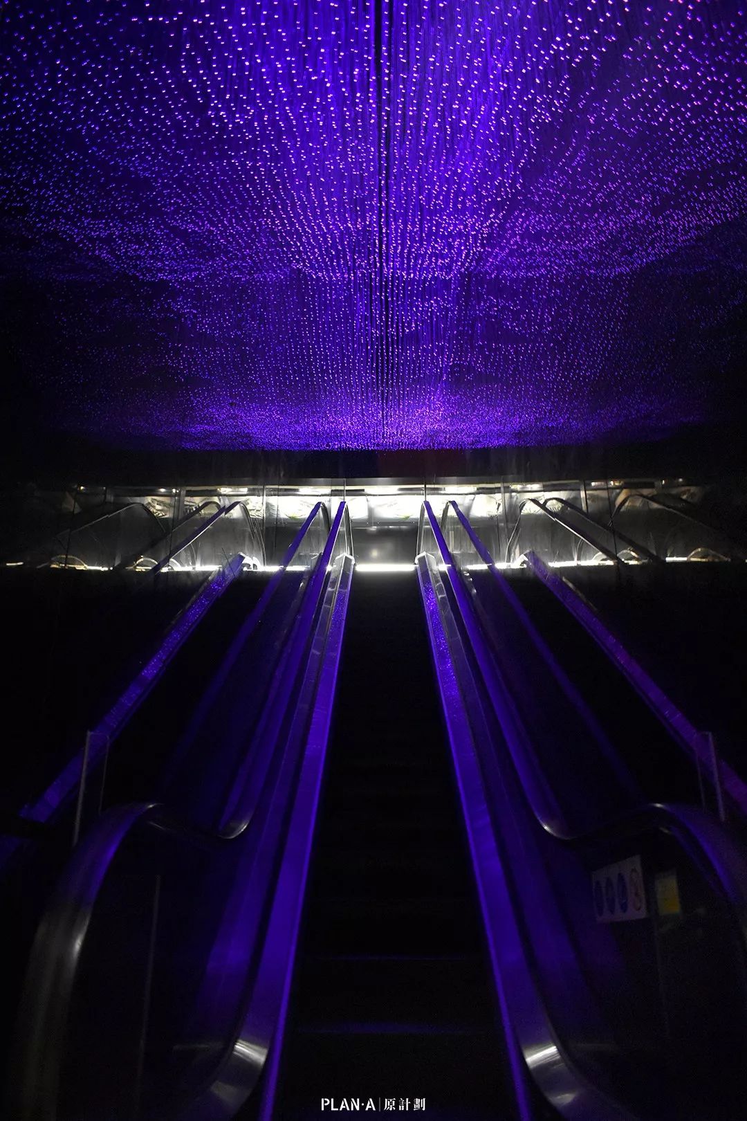 广州肥豚炭烧餐厅 | 热带雨林中的美食之旅-9