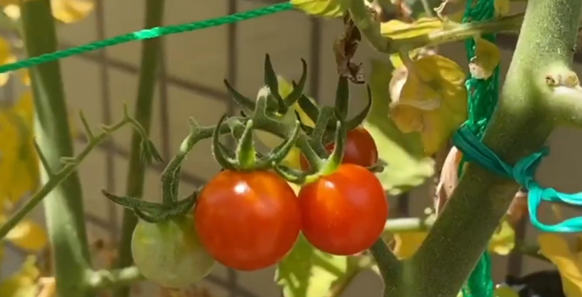 AECOM全球建筑与人居环境业务-52