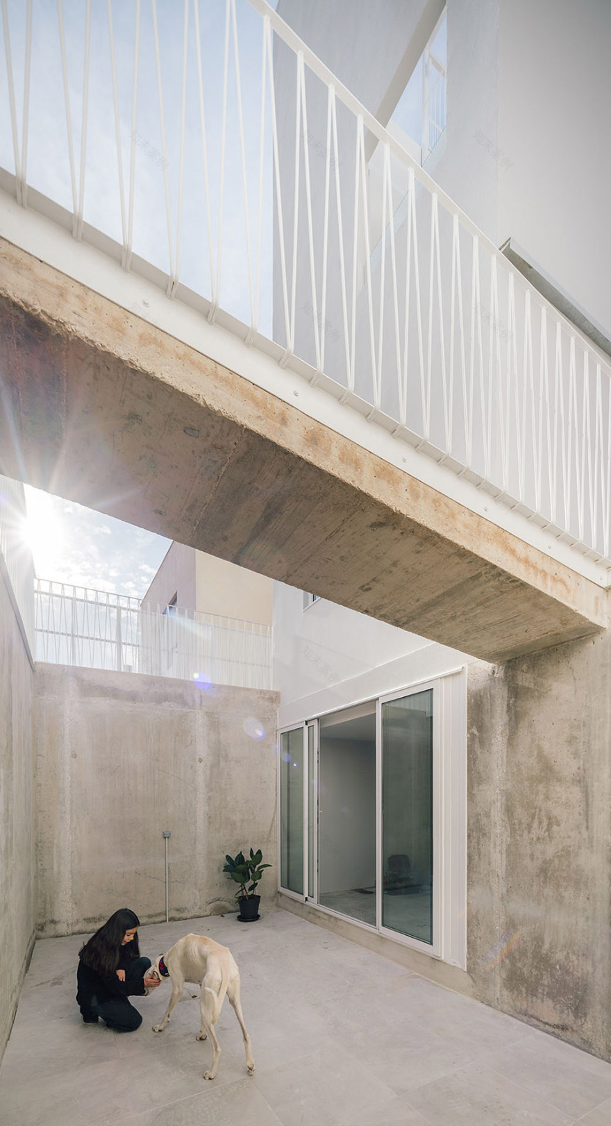 GALGO 住宅丨西班牙马德里丨Murado & Elvira Arquitectos-18