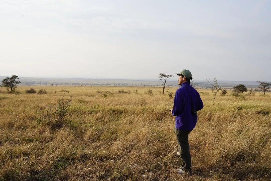非洲考察1|初抵塞伦盖蒂-38