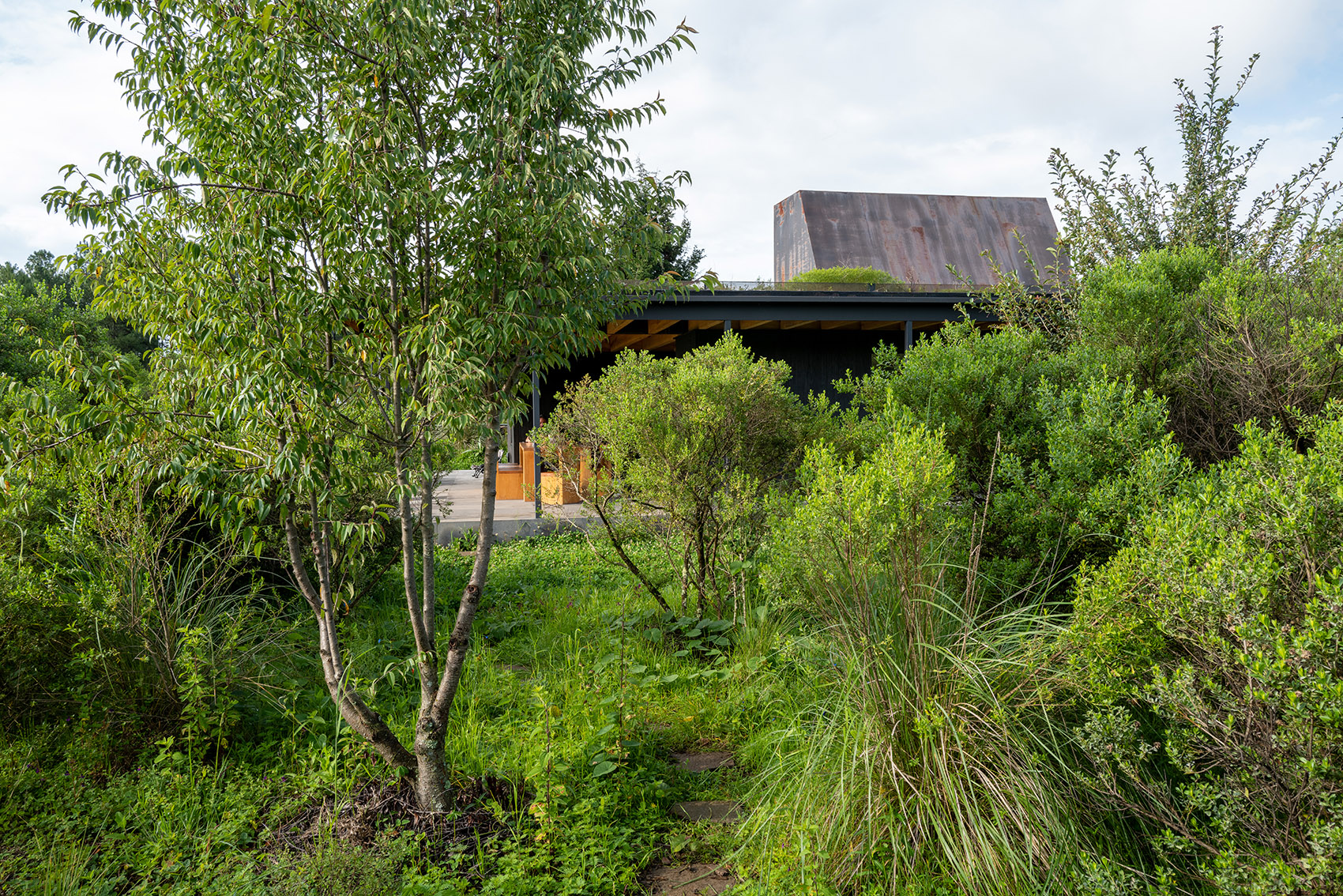 墨西哥雨水收集之家丨Robert Hutchison Architecture + JSa-51