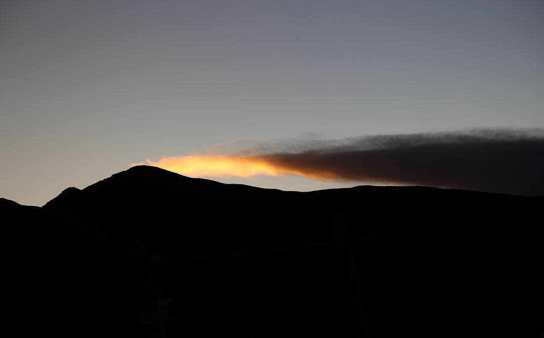 600㎡展厅设计 · 自然长期主义丨中国深圳丨懒猫创意空间-17