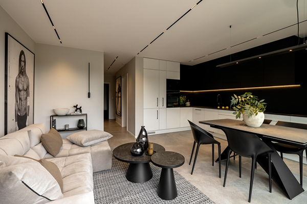 极简主义室内设计丨Dina Cheliadina,Joanna Alminas-13