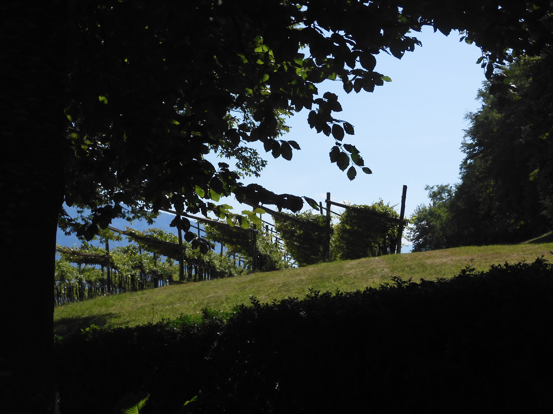 丨意大利特伦托-29