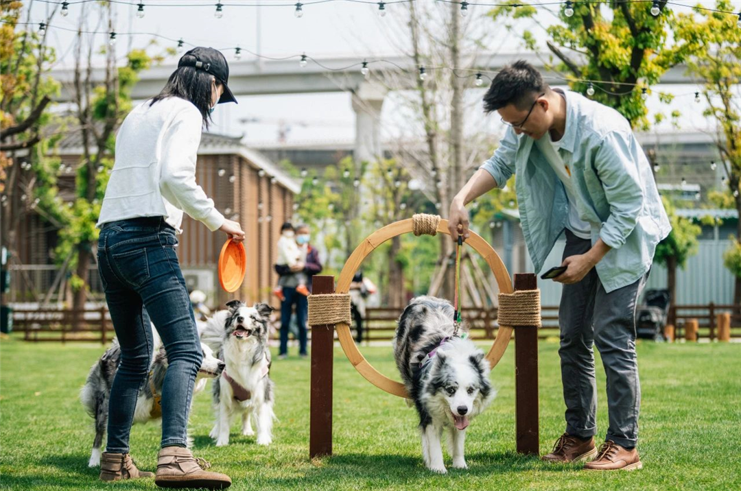 公园里的新天地|上海蟠龙天地荣膺“国家级旅游休闲街区”，华建集团环境院设计助力城市更新-67