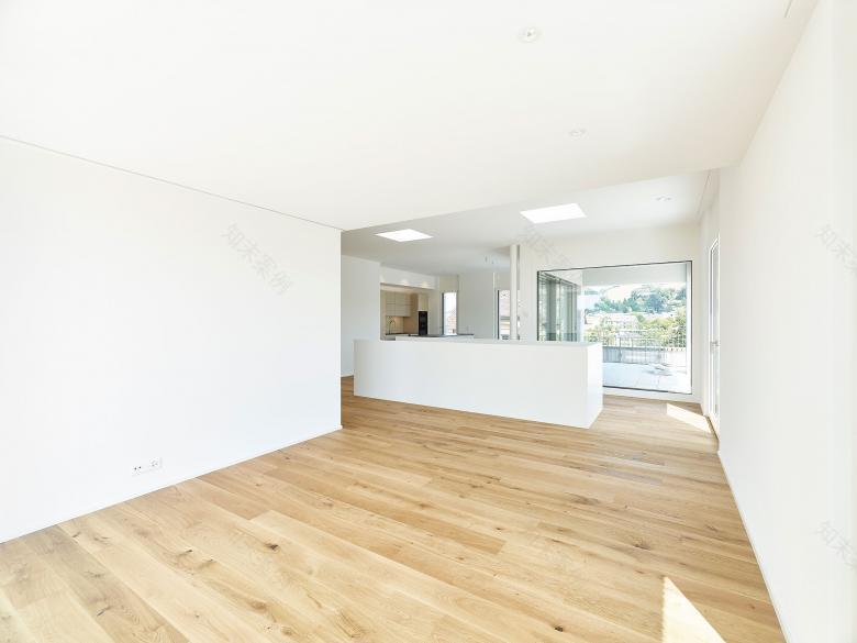 伦茨堡的区域开发丨瑞士丨Husistein & Partner AG-22