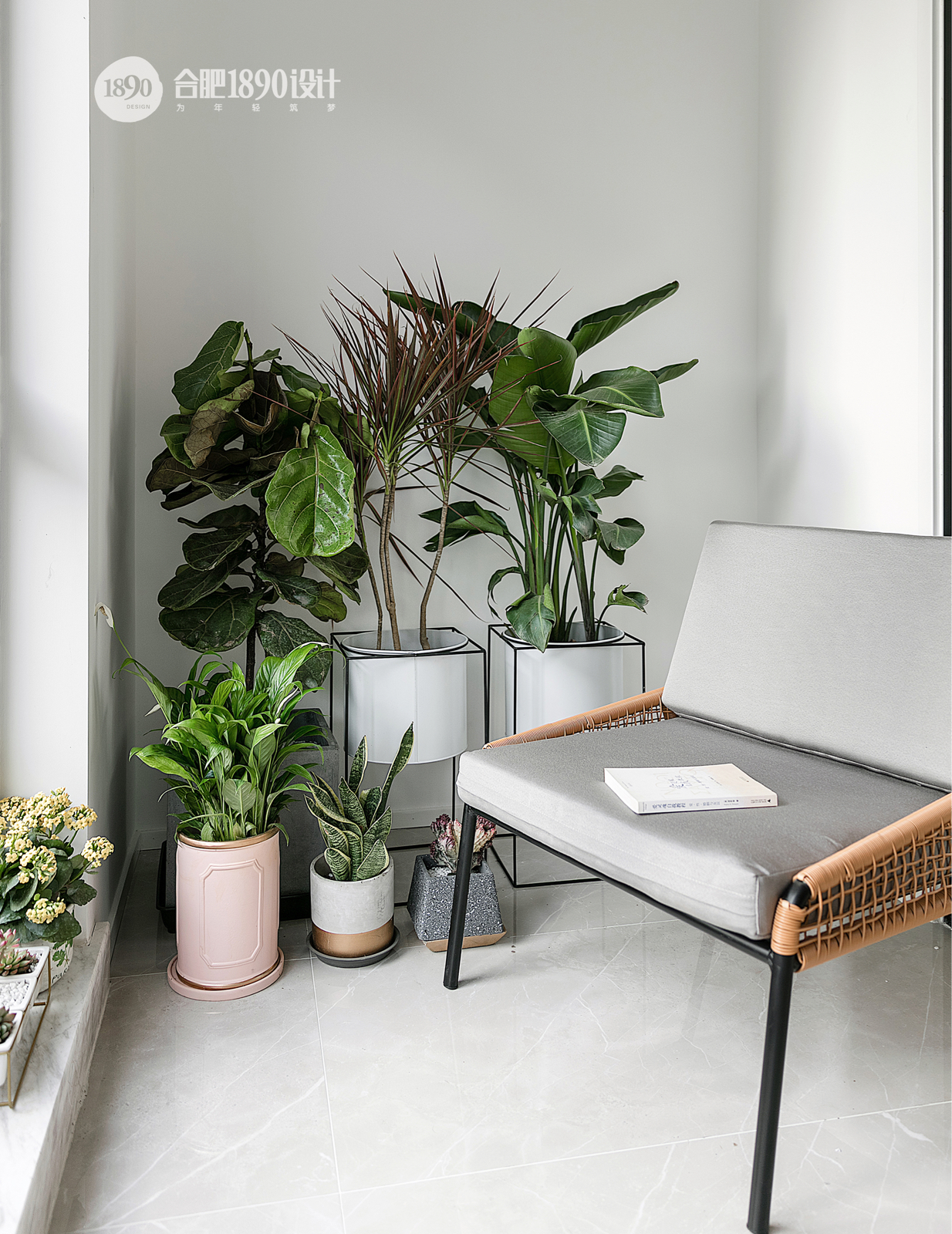 1890新年大片  住在西林山的小仙女-47