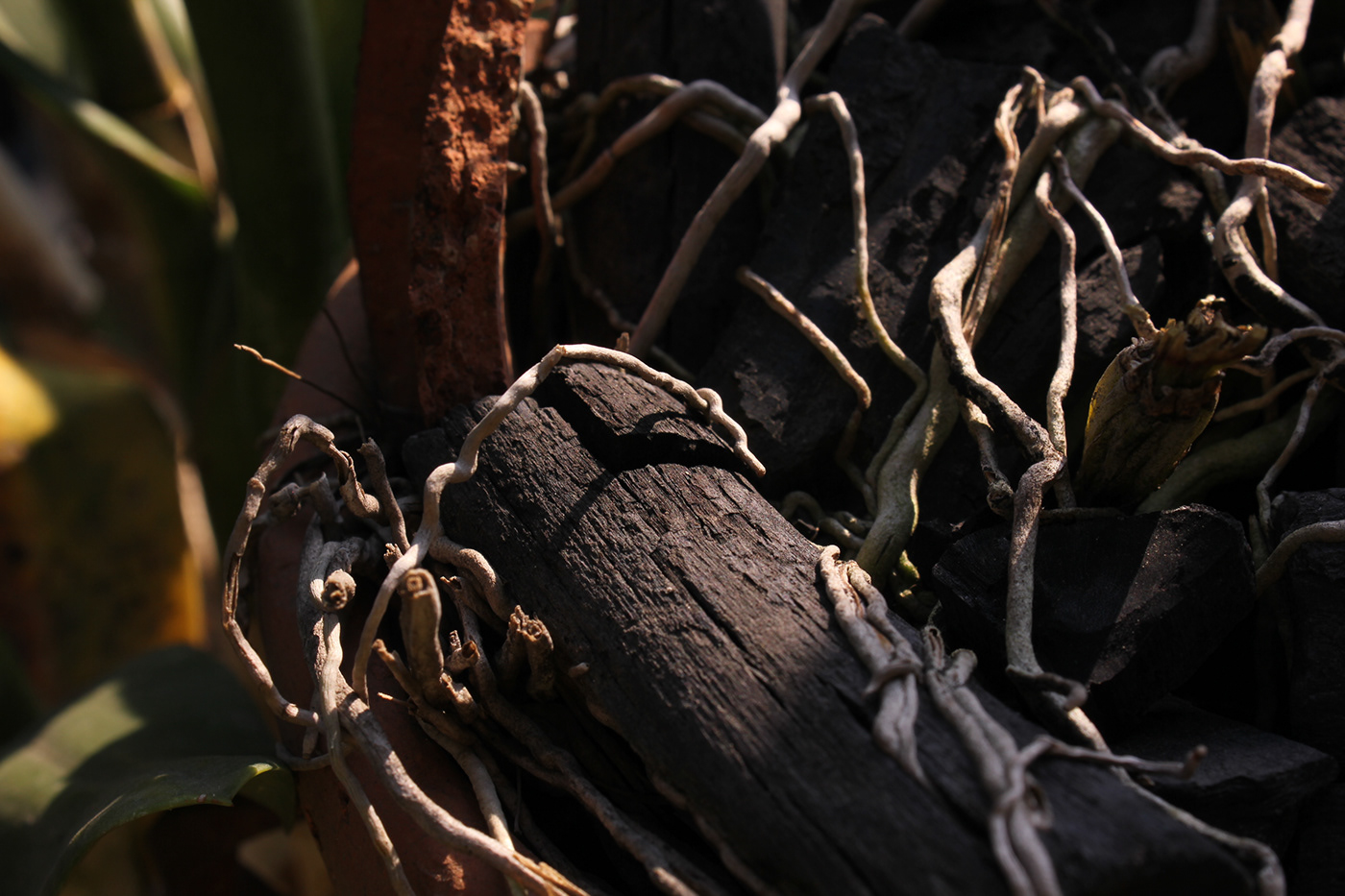 2019_Photography Assignment_01-1