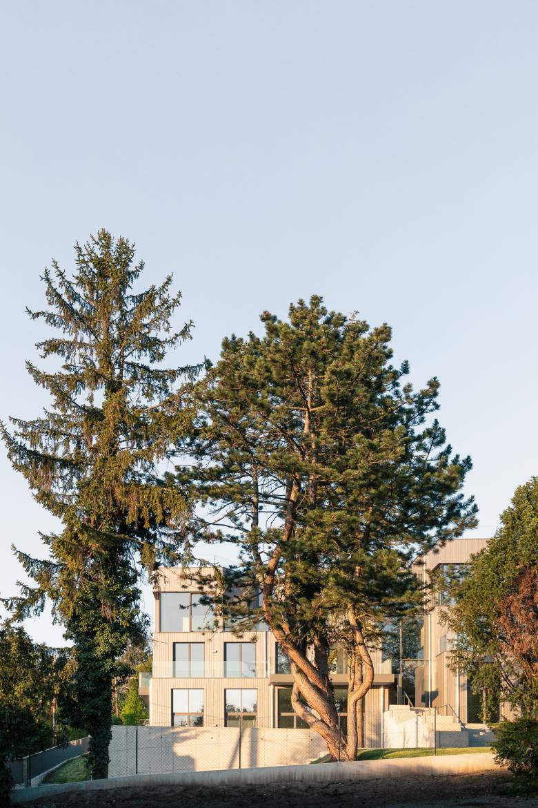 olbrich pyka ungersböck architektur zt gmbh丨fux05丨奥地利-16