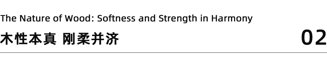 深圳传麒山SACUCCI案例丨中国深圳-33