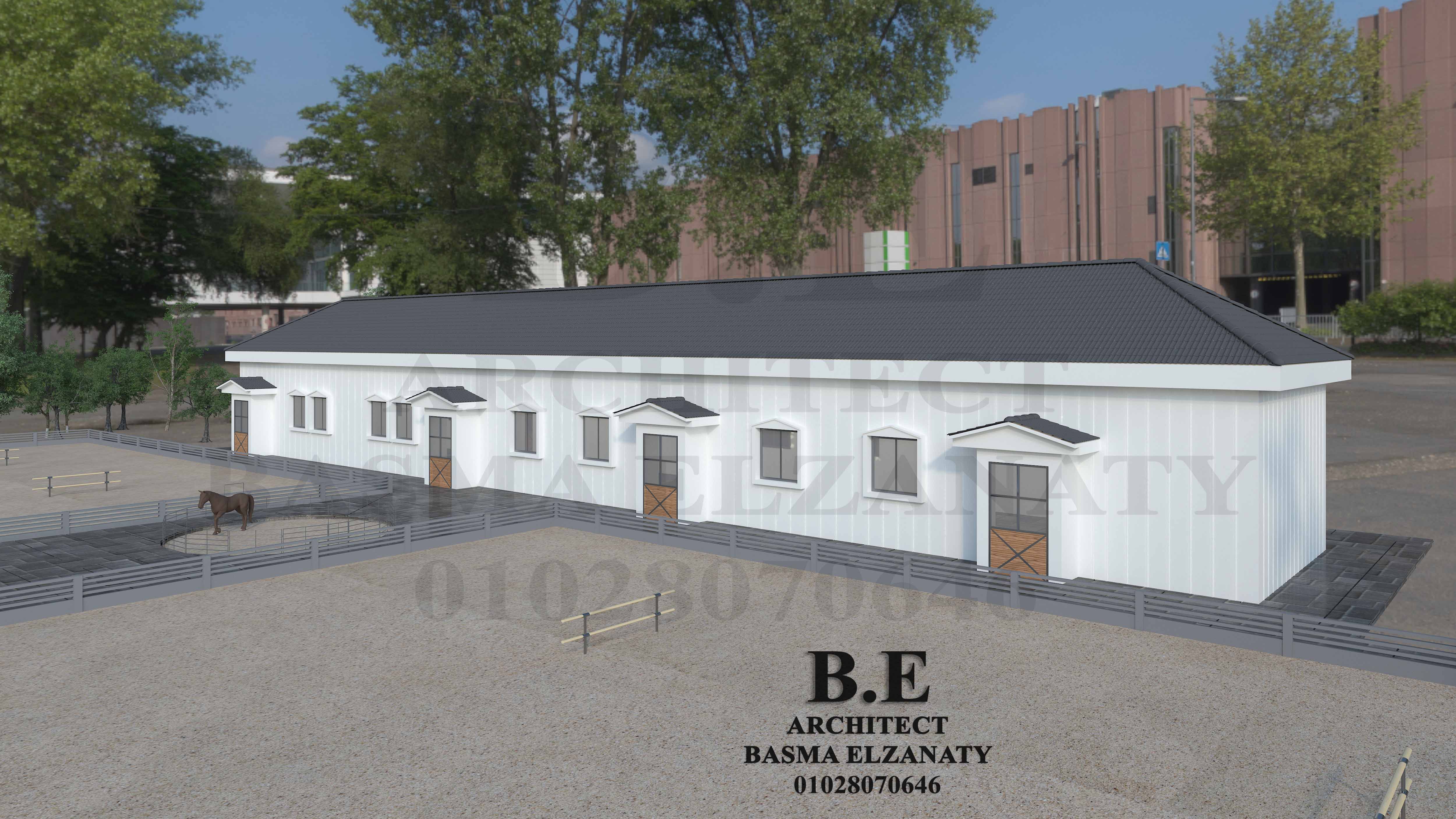 Horse club in Zagazig-4