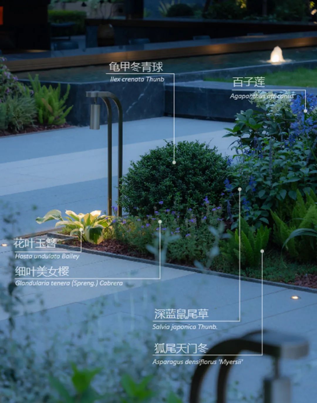 会“拥抱”的社区丨成都招商 · 新川臻境-71