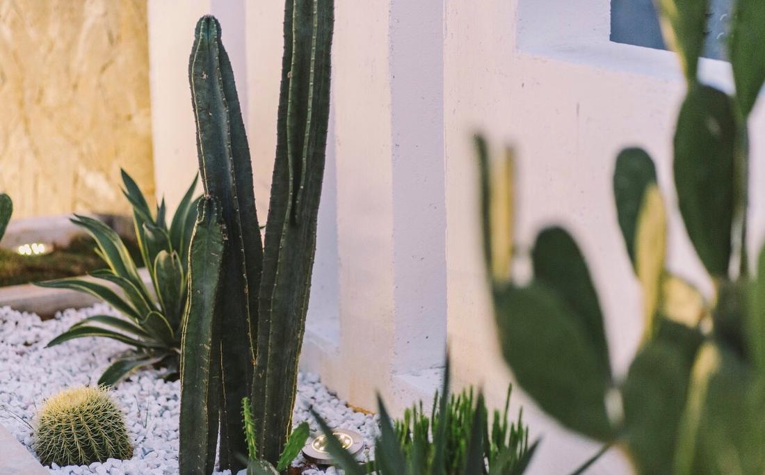 
『 有客 . 拾己 』| 民宿 客栈 -1