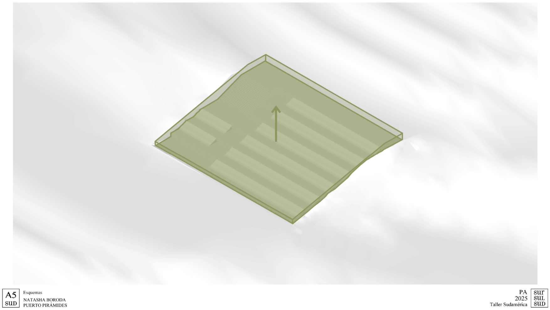 Puerto Pirámide | Centro de Investigacion-7