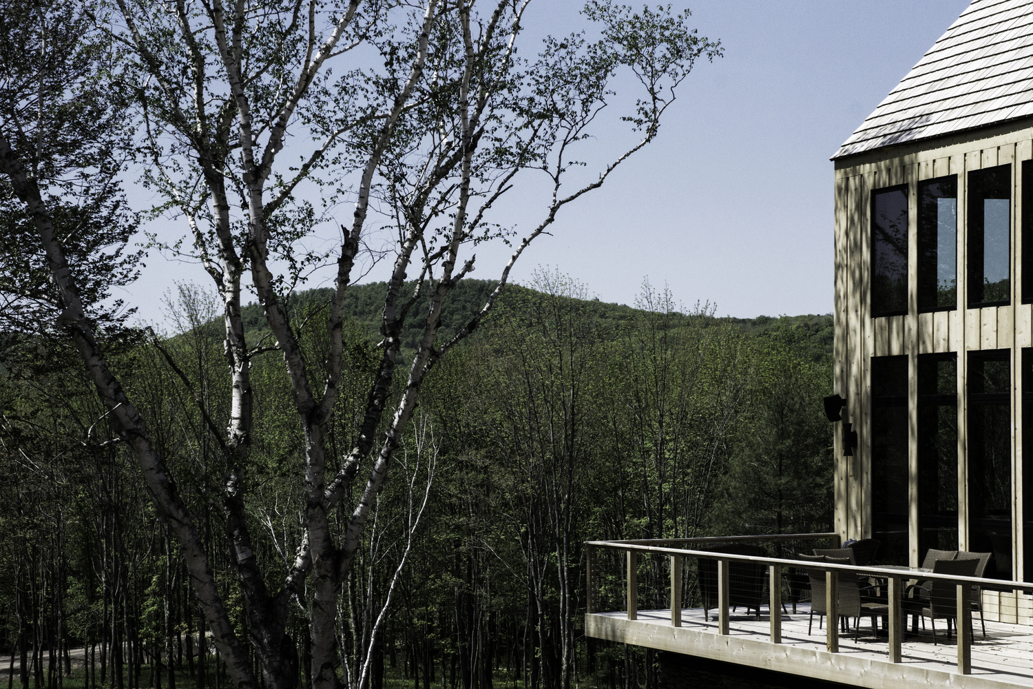 美国杉树与石小屋-10