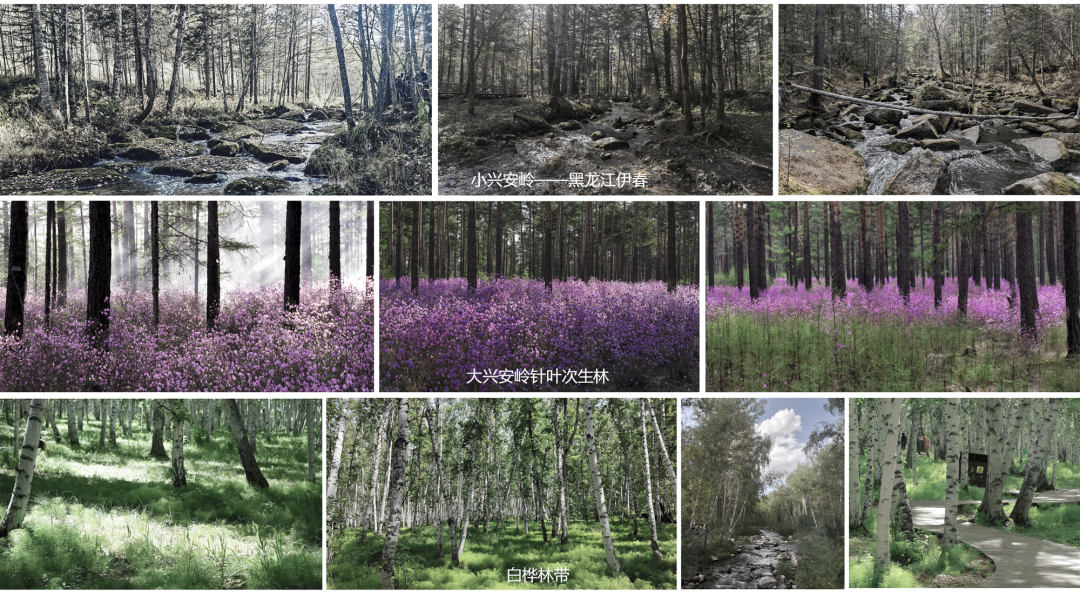 礼序东方 盛京游园 | 沈阳万科·胤樾-81