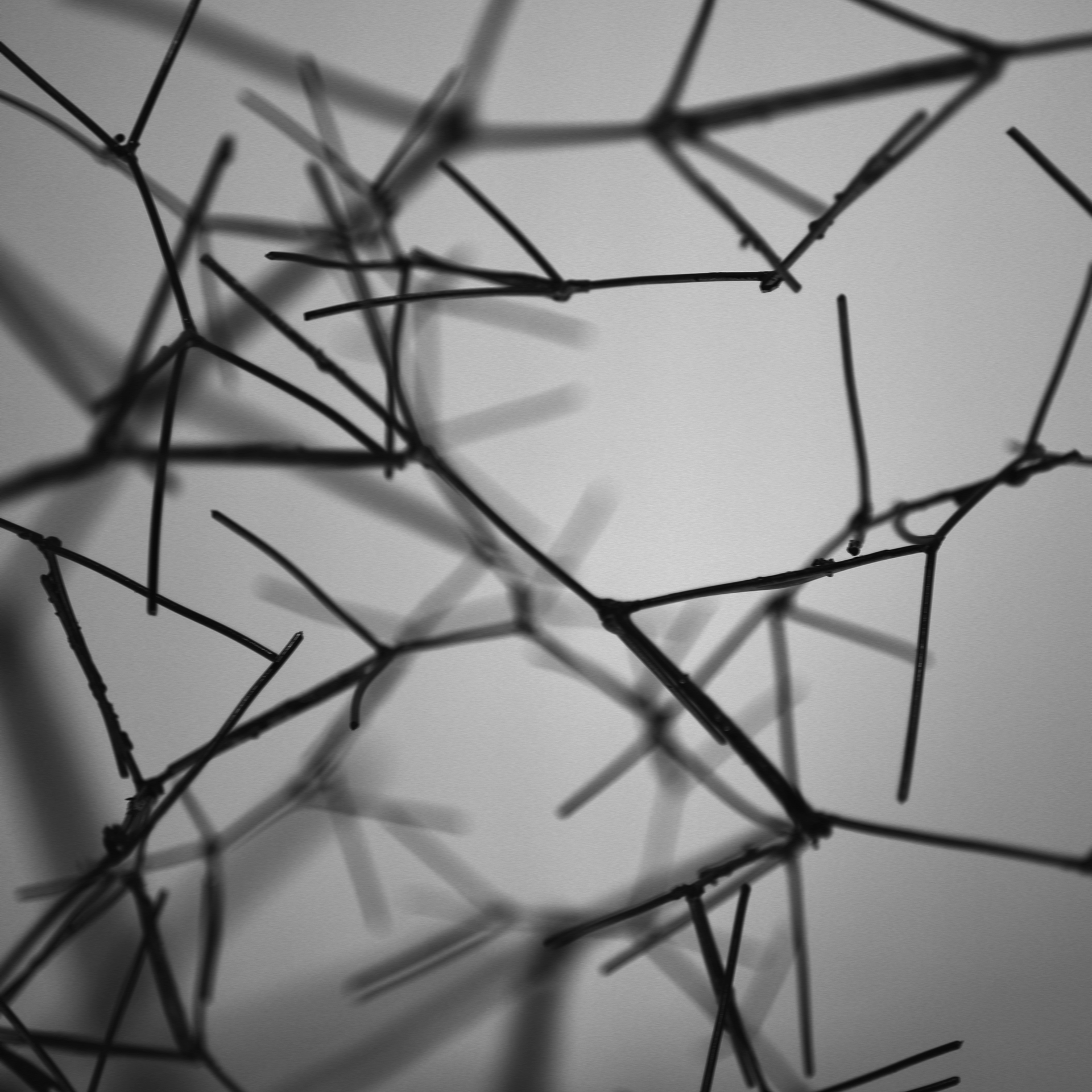 马特恩和帕滕,丝瓜络-14