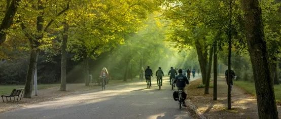 一座公园的诞生-64