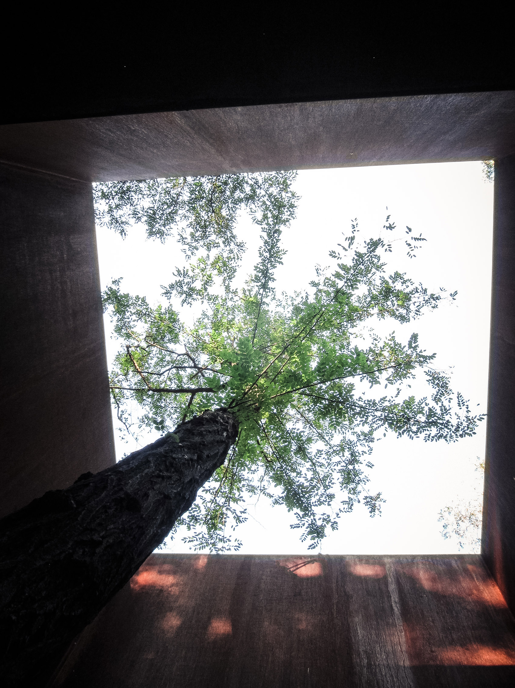 岩景茶室，威海，中国 / 迹·建筑事务所（华黎）-131