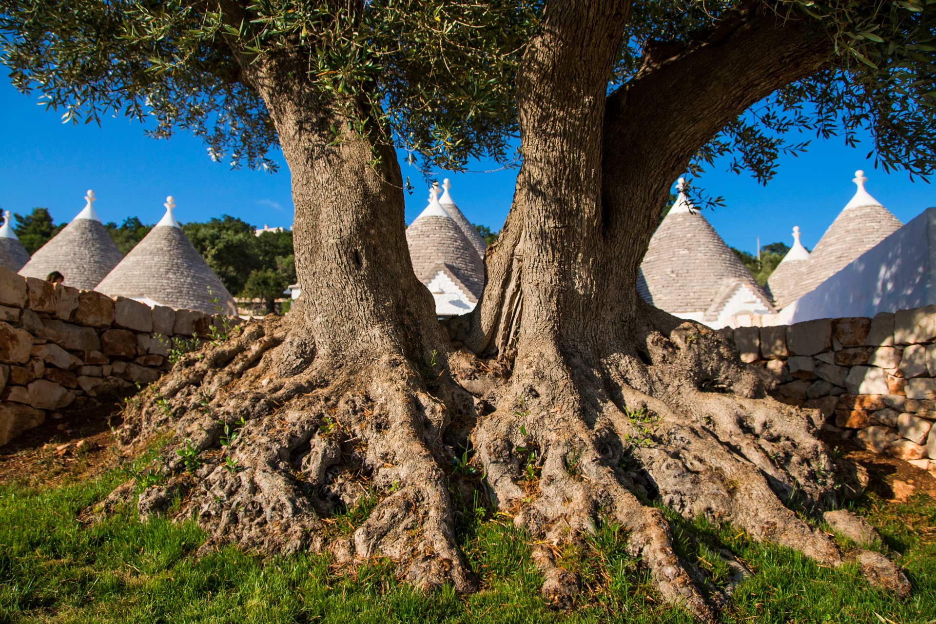 丨Arkitetti Flore & Venezia-10